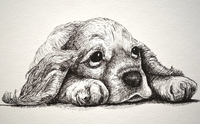 Dibujos a lápiz de Perros - Dibujos a Lápiz