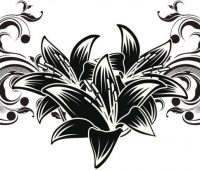 Dibujos de Orquídeas a Lápiz | Flores a lápiz | Naturaleza a Lápiz