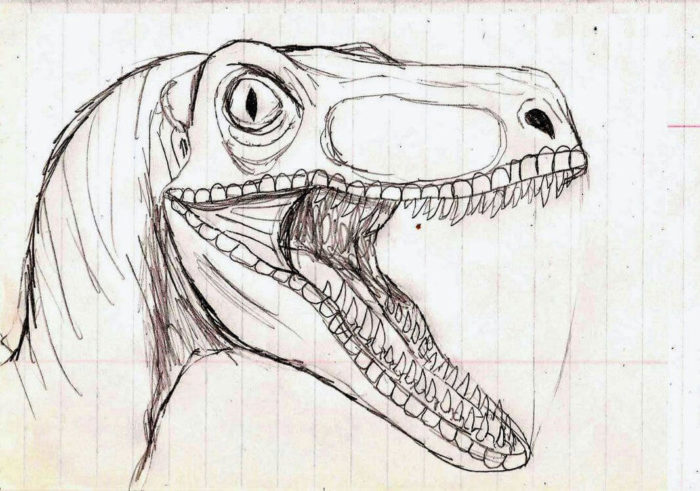 Dibujos de Dinosaurios a Lápiz | Listos para Imprimir Rápidamente